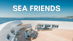 SEA Friends Sans titre-23